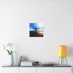Dancing with Sunlight  - Canvas Print